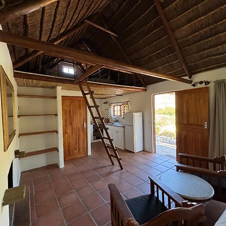 Enjo Nature Farm Clanwilliam Buitenkant foto