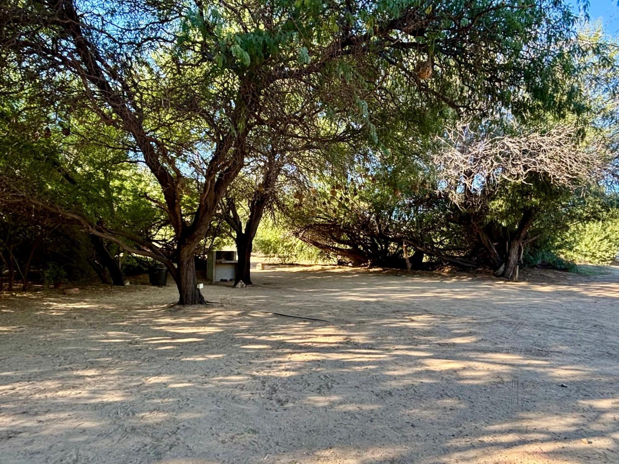 Enjo Nature Farm Clanwilliam Buitenkant foto
