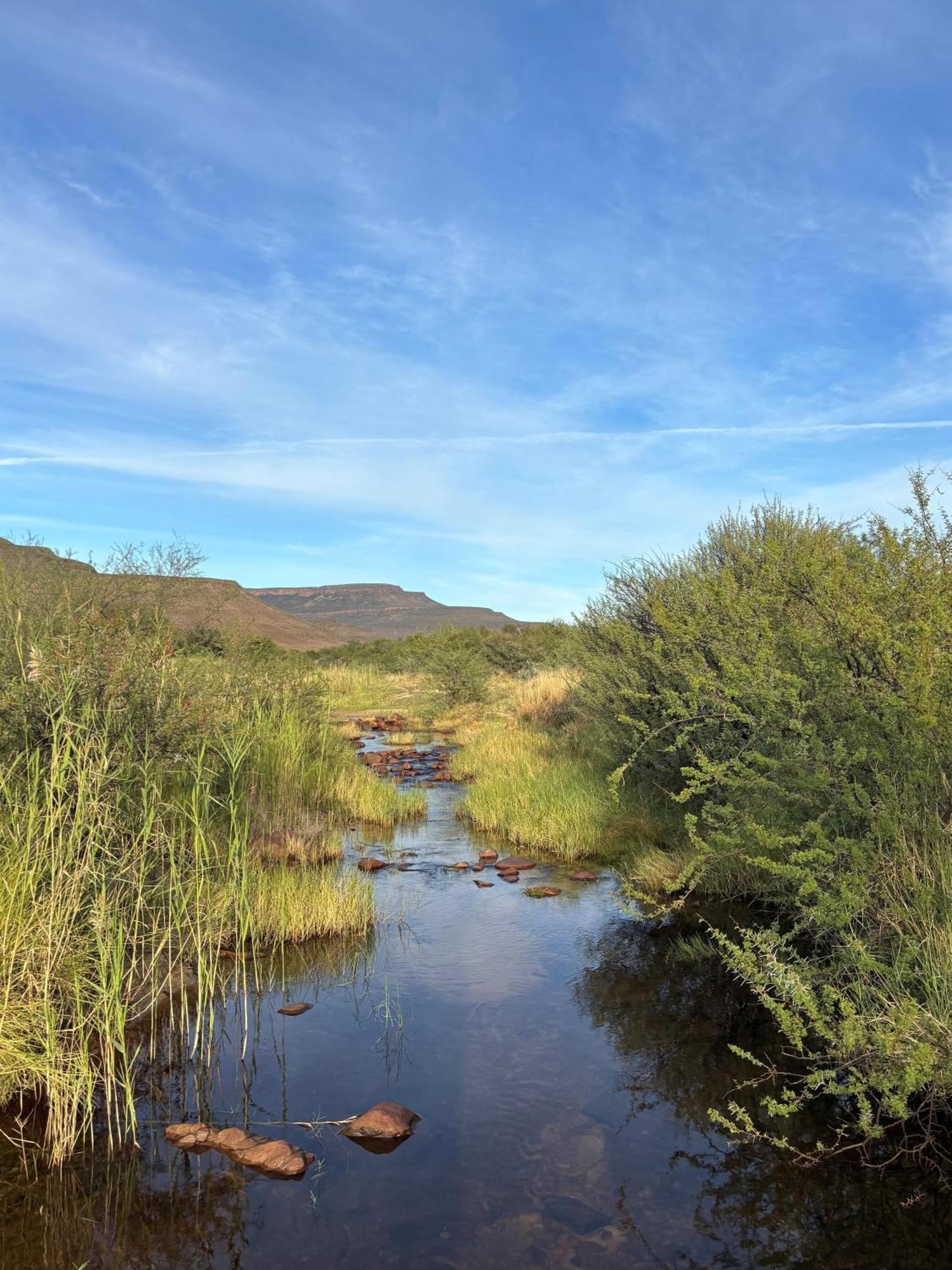 Enjo Nature Farm Clanwilliam Buitenkant foto
