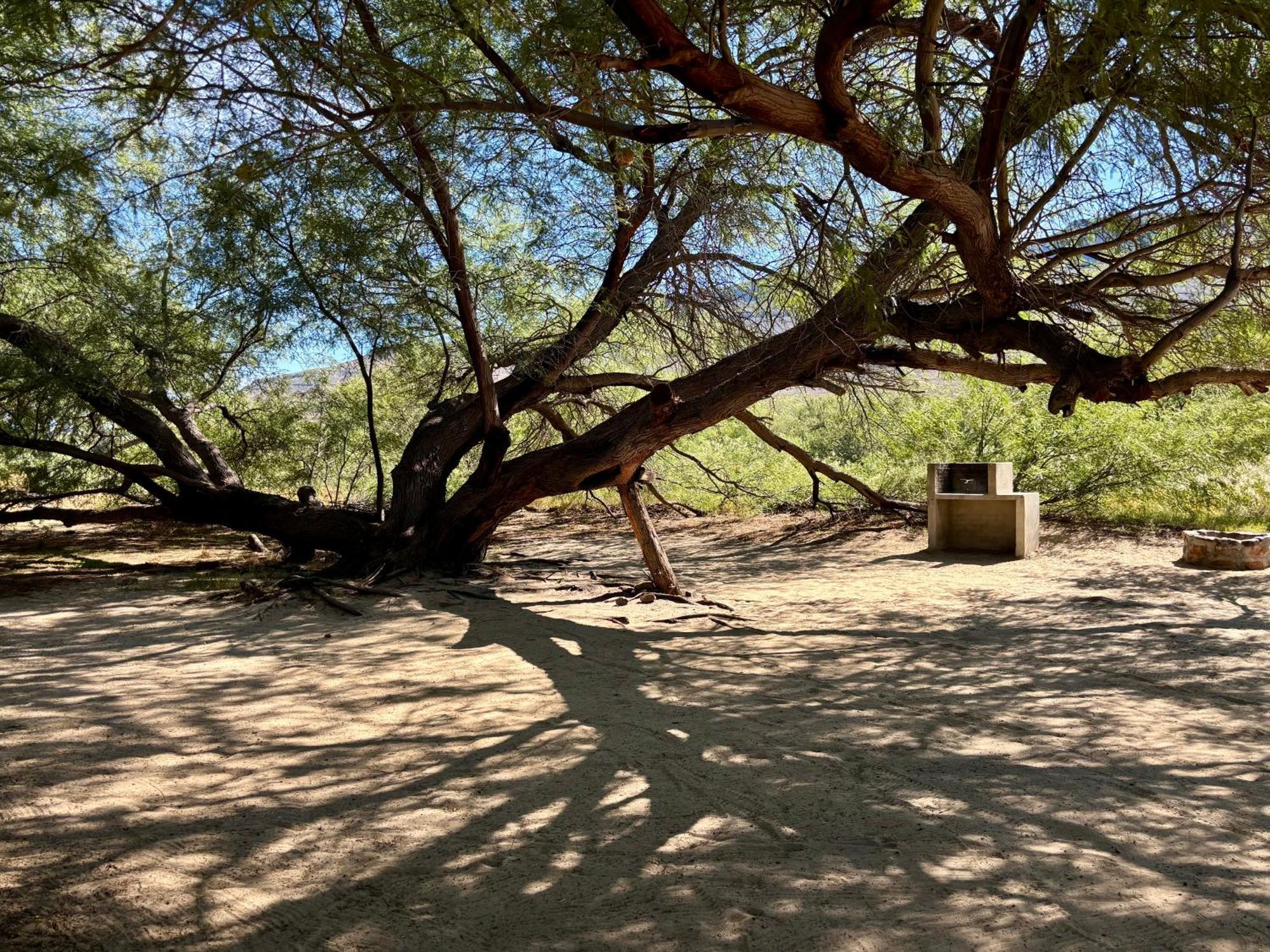 Enjo Nature Farm Clanwilliam Buitenkant foto